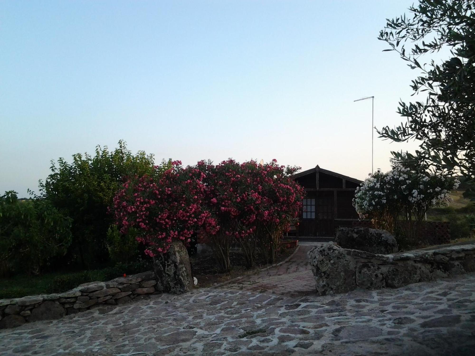 Agriturismo Su Recreu Ittiri Habitación foto