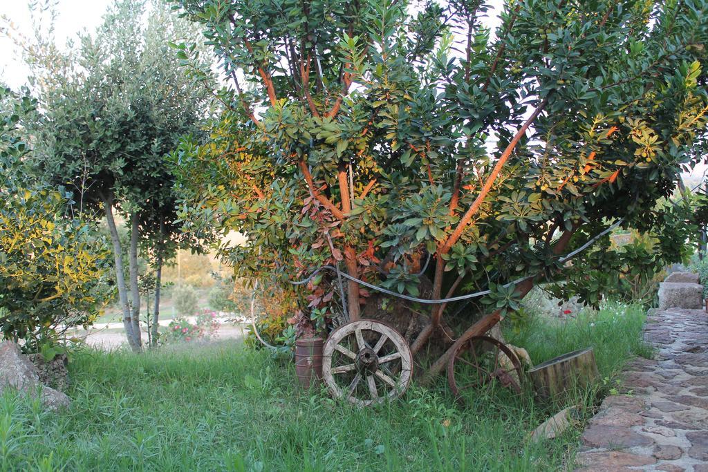 Agriturismo Su Recreu Ittiri Exterior foto