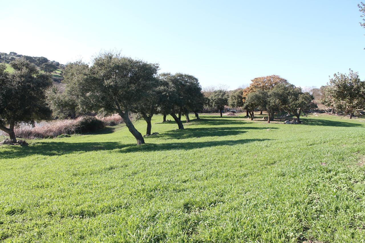 Agriturismo Su Recreu Ittiri Exterior foto